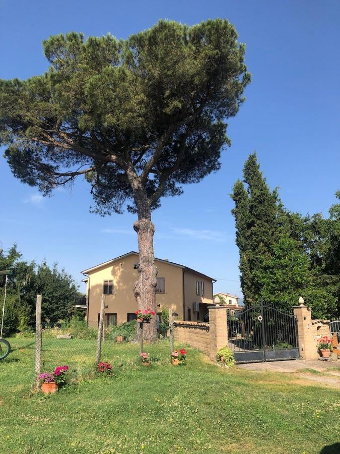 Podere Telesforo Acquapendente Exteriör bild